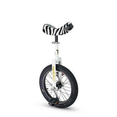 Amazon.com: Unicycle special backpack is suitable for
