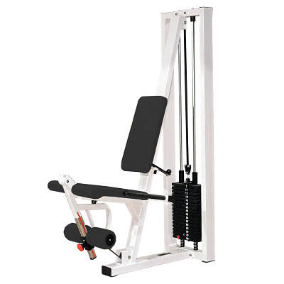 Buy Sport-Thieme Leg Extension Machine “SQ” - Sport-Thieme