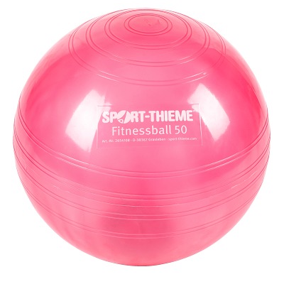 Ledragomma Original Pezziball Exercise Ball buy at