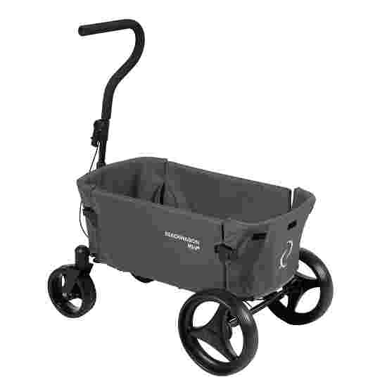 Baby pull along cart online