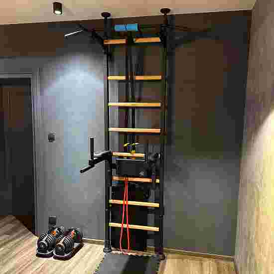 BenchK Fitness-System &quot;522B&quot; Wall Bars