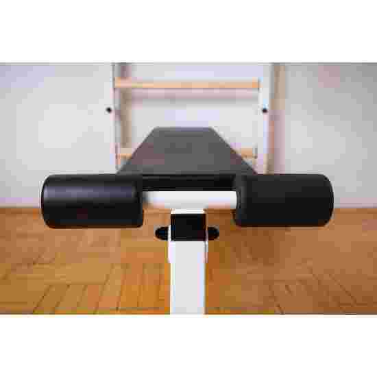 BenchK Fitness-System &quot;523W + A204&quot; Wall Bars