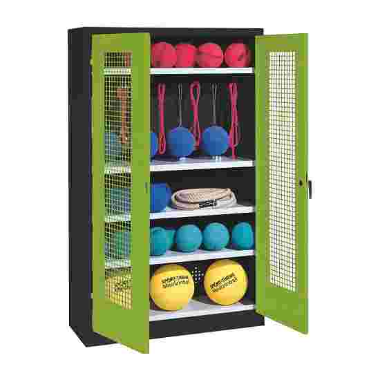 C+P Sports equipment cabinet Viridian green (RDS 110 80 60), Anthracite (RAL 7021), Keyed to differ, Handle