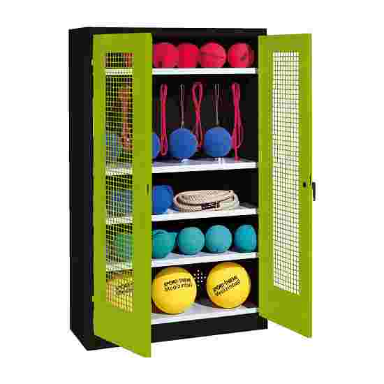 C+P Sports equipment cabinet Viridian green (RDS 110 80 60), Anthracite (RAL 7021), Keyed alike, Handle