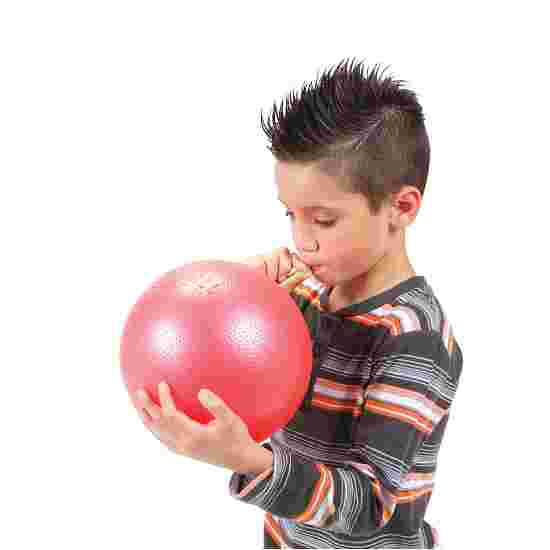 Gymnic &quot;Overball&quot; Exercise Ball