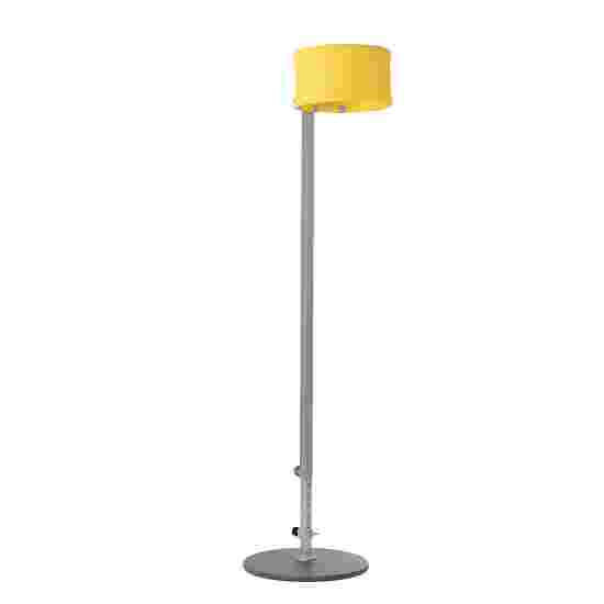 Height-Adjustable Korfball Pole