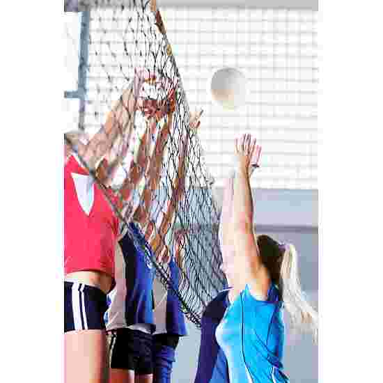 Huck &quot;DVV 2&quot; Volleyball Net