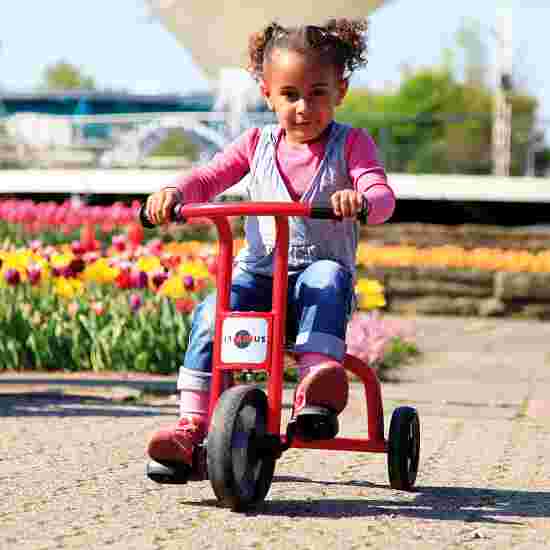 Jaalinus Tricycle Small, 2–4 years