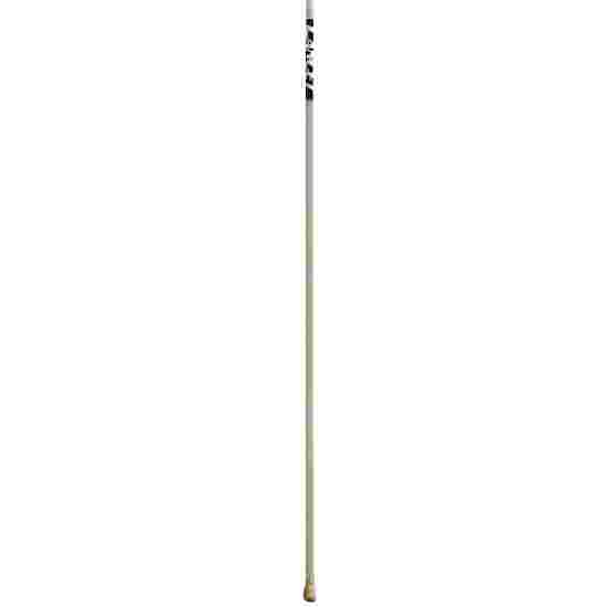 Lancet &quot;Junior GFK&quot; Vaulting Pole 310 cm, up to 30 kg