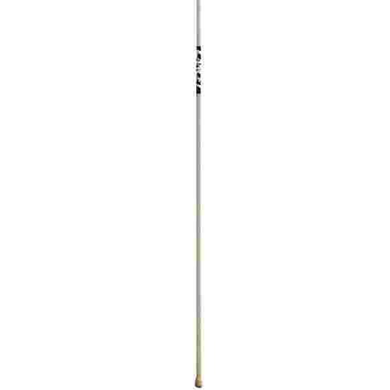 Lancet &quot;Junior GFK&quot; Vaulting Pole 310 cm, up to 35 kg