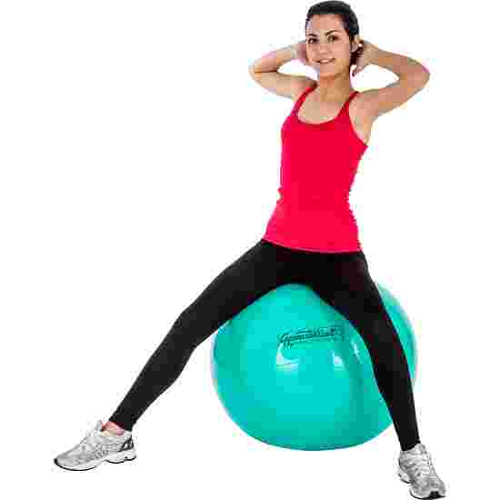 Ledragomma &quot;Original Pezziball&quot; Exercise Ball 65 cm in diameter