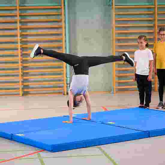 Reivo &quot;Super&quot; Gymnastics Mat 150x100x8 cm