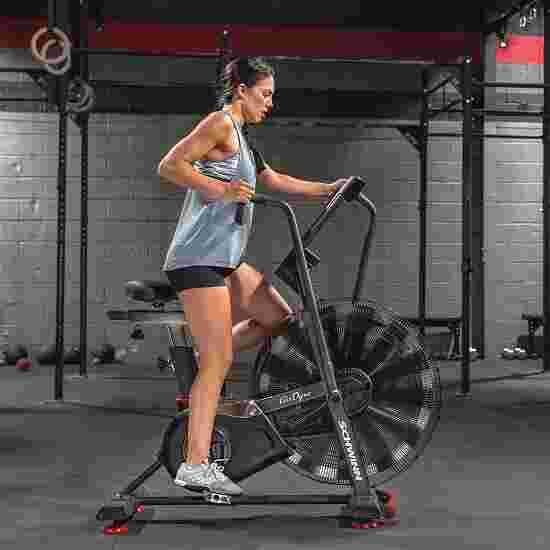 Schwinn airdyne ad8 online workout