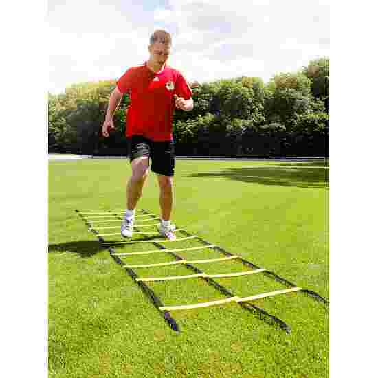 Sport-Thieme &quot;Agility&quot; Coordination Ladder 4 m, Double ladder