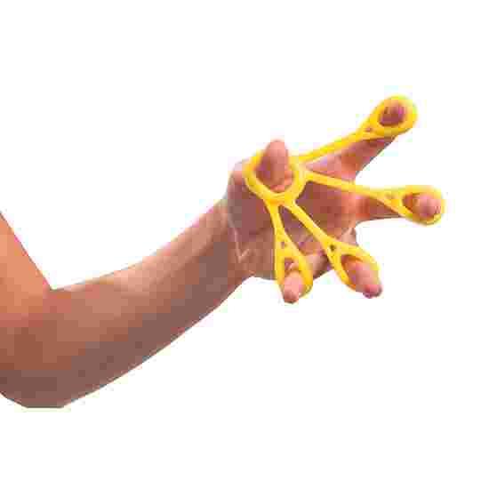 Sport-Thieme Finger Exercisers