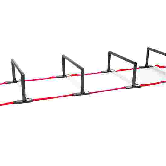 Sport-Thieme Height-Adjustable Hurdles and Agility Ladder