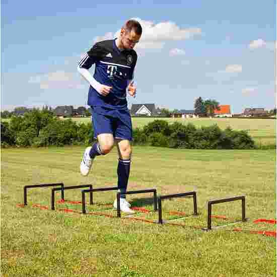 Sport-Thieme Height-Adjustable Hurdles and Agility Ladder