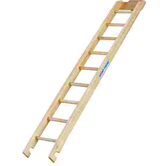 Sport-Thieme &quot;Kombi&quot; Climbing Ladder