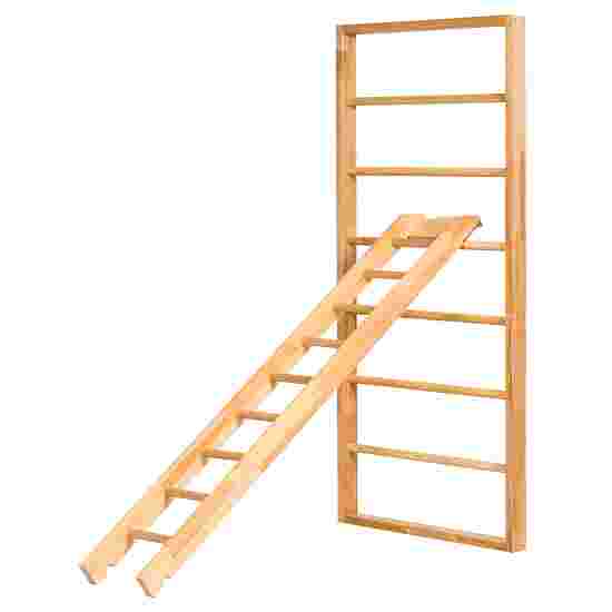 Sport-Thieme &quot;Kombi&quot; Climbing Ladder