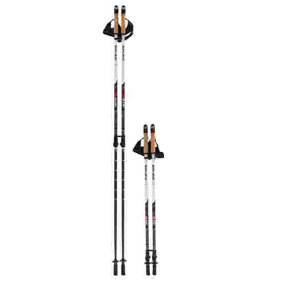 Sport-Thieme Lock Up Pro Nordic Walking Poles buy at