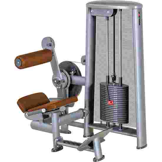 Sport-Thieme &quot;OV&quot;  Back Extension Machine With black perforated-sheet cover
