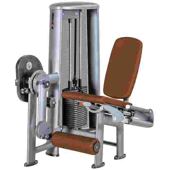 Sport-Thieme &quot;OV&quot; Leg Extension Machine With black perforated plate covering