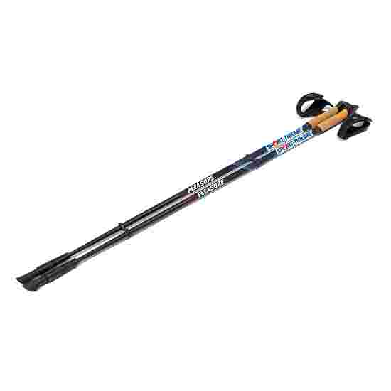 Crivit best sale walking pole