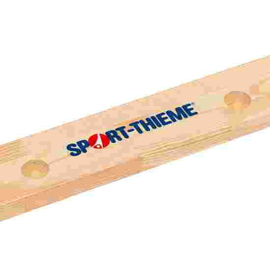 Sport-Thieme &quot;Single panel&quot; Wall Bars HxW: 210x80 cm, 8 rungs, Disassembled