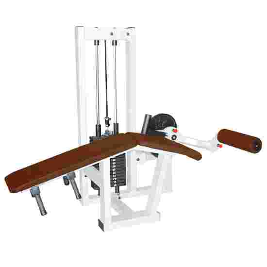 Sport-Thieme &quot;SQ&quot;, lying Leg Curl Machine With black perforated-sheet cover