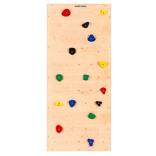 SportThieme "TuWa Climbing Wall" Gymnastics Wall Frame buy at Sport