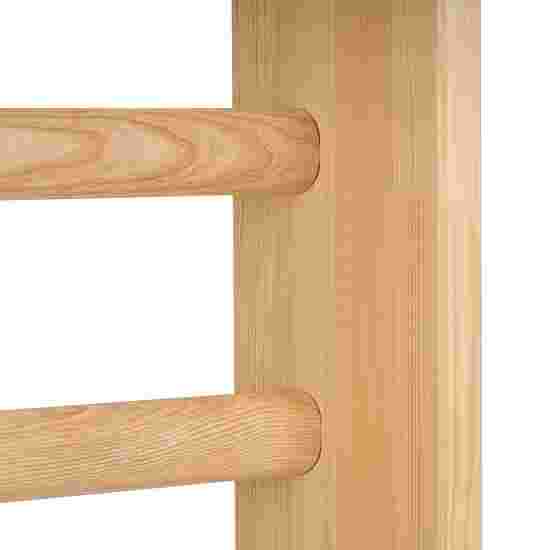 Sport-Thieme Wall Bars