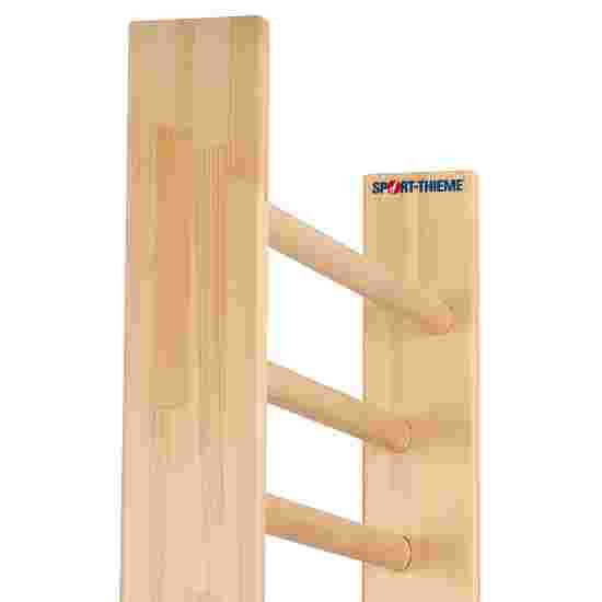 Sport-Thieme Wall Bars