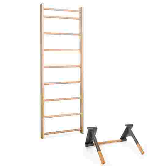 Sport-Thieme with Pull-Up and Dip Bars Wall Bars Wall bars: 230x80 cm