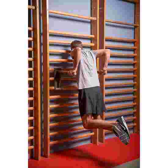 Sport-Thieme with Pull-Up and Dip Bars Wall Bars Wall bars: 230x80 cm