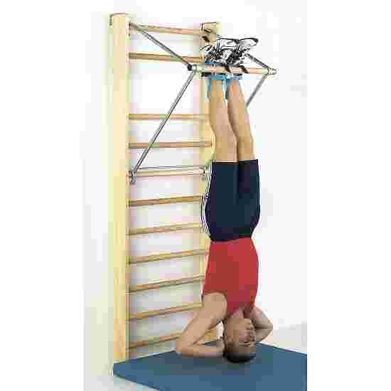 Sport-Thieme with Pull-Up Bar Wall Bars Wall bars: 210x80 cm