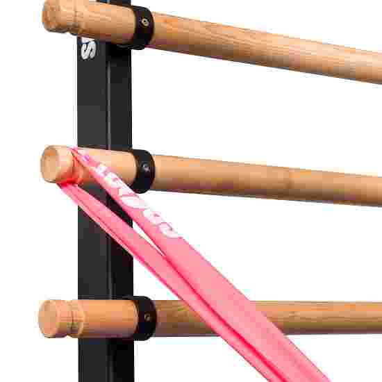 Sport-Thieme &quot;X&quot; Wall Bars