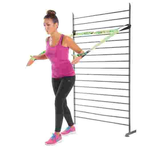 Straight Wall Mounted Pull Up Bar, Sveltus 