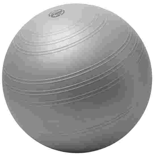 Grey best sale exercise ball