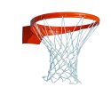 Sport-Thieme Folding "Premium" Basketball Hoop Folds down from 105 kg, Without Anti-Whip net