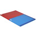 Reivo "Safe" Gymnastics Mat Blue Polygrip, 150×100×6 cm