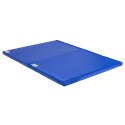 Reivo Combi Lightweight Gymnastics Mat 150x100x6 cm, 6 kg