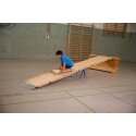Sport-Thieme "Ramp" Roller Board Track