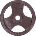 Sport-Thieme Cast Iron "Competition" Weight Plate 20 kg