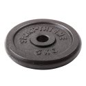 Sport-Thieme "Cast Iron" Weight Plates 5 kg