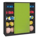 C+P HxWxD 195x190x60 cm, with Sheet Metal Sliding Doors (type 4) Ball Cabinet Clown Green (RAL 110 80 60), Anthracite (RAL 7021), Keyed to differ