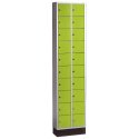 C+P "S 4000 Intro" Security Lockers Clown Green (RAL 110 80 60)