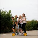 Pedalo "Family" Coordination Trainer