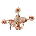 "Super Skeleton" Skeleton Model