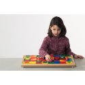 Pertra "Classification" Educational Toys