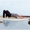 Sport-Thieme Back Stretcher Therapy